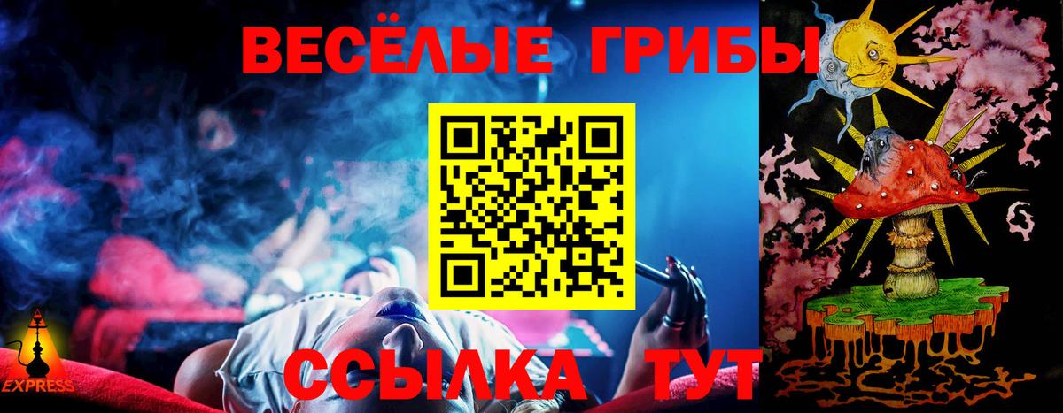 Псилоцибиновые грибы MAGIC MUSHROOMS Махачкала