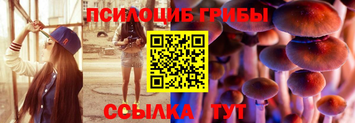 Галлюциногенные грибы MAGIC MUSHROOMS  Вход с VPN  Махачкала 